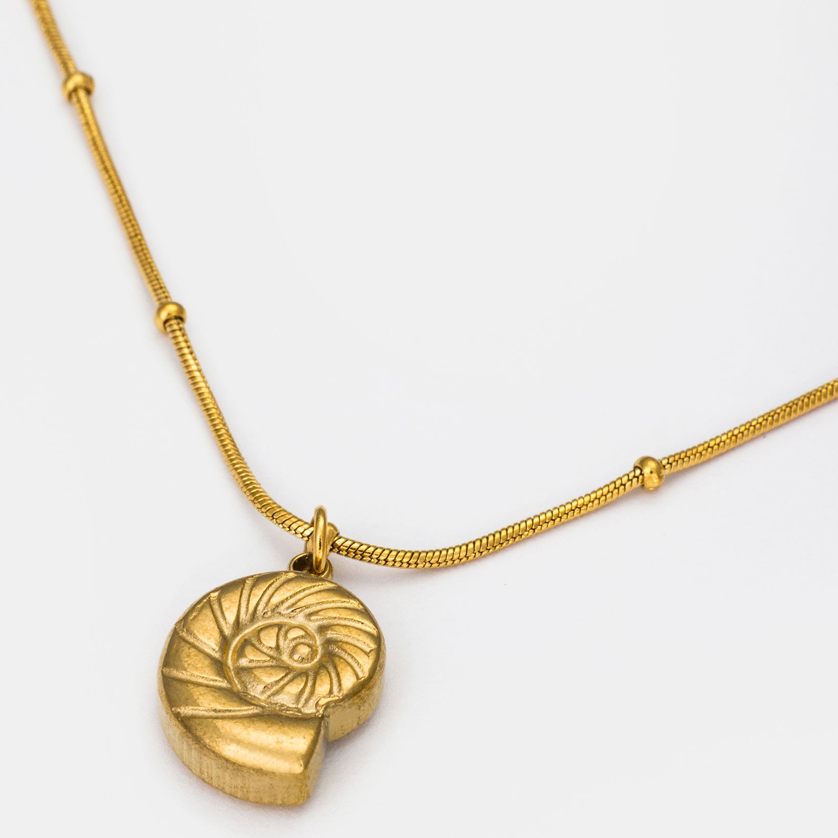 Nautilus Pendant Necklace in Gold