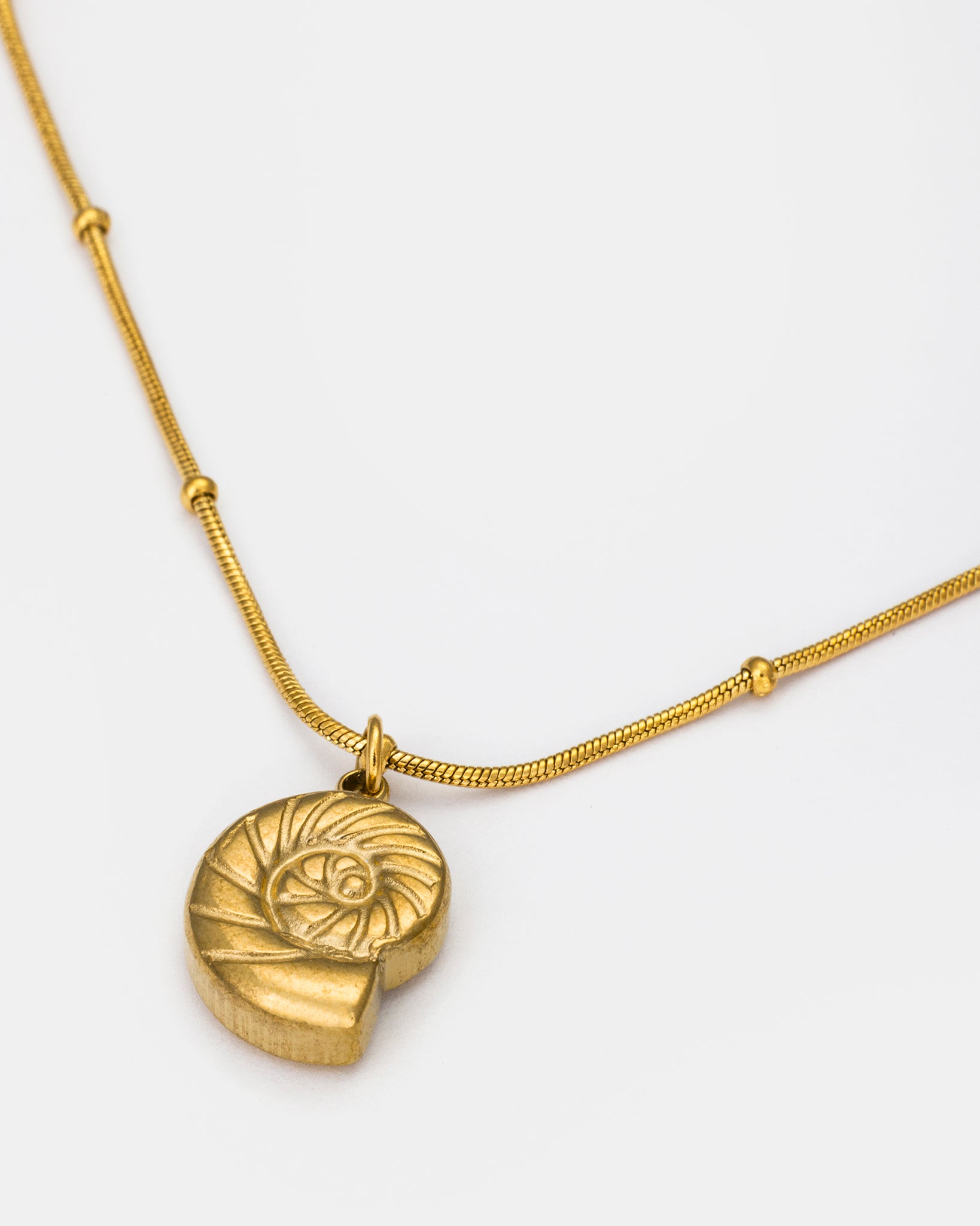 Nautilus Pendant Necklace in Gold