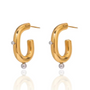 Dazzling Earrings in Gold and Silver